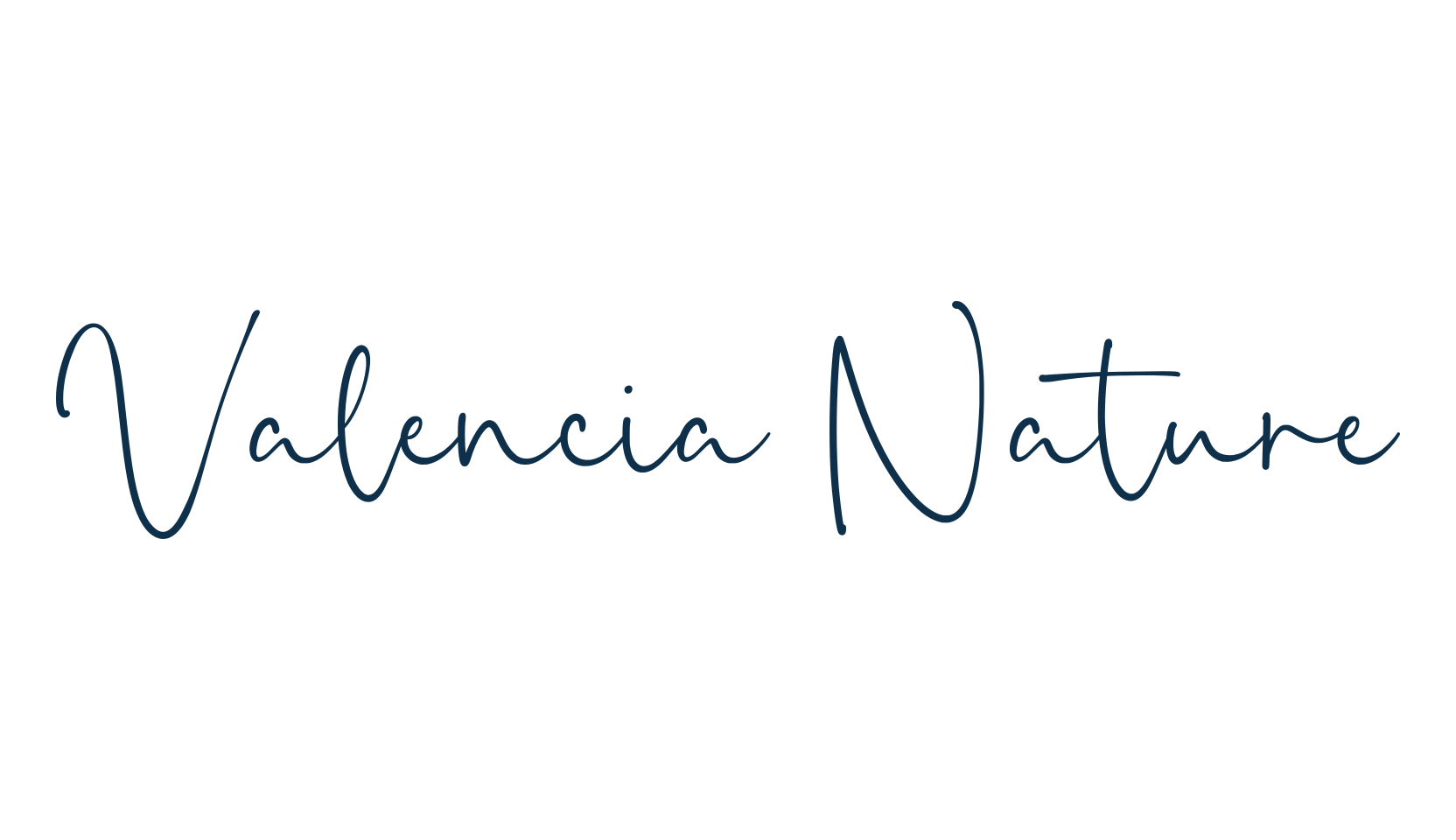 Valencia Nature, script handwritten fancy decorative calligraphy font preview