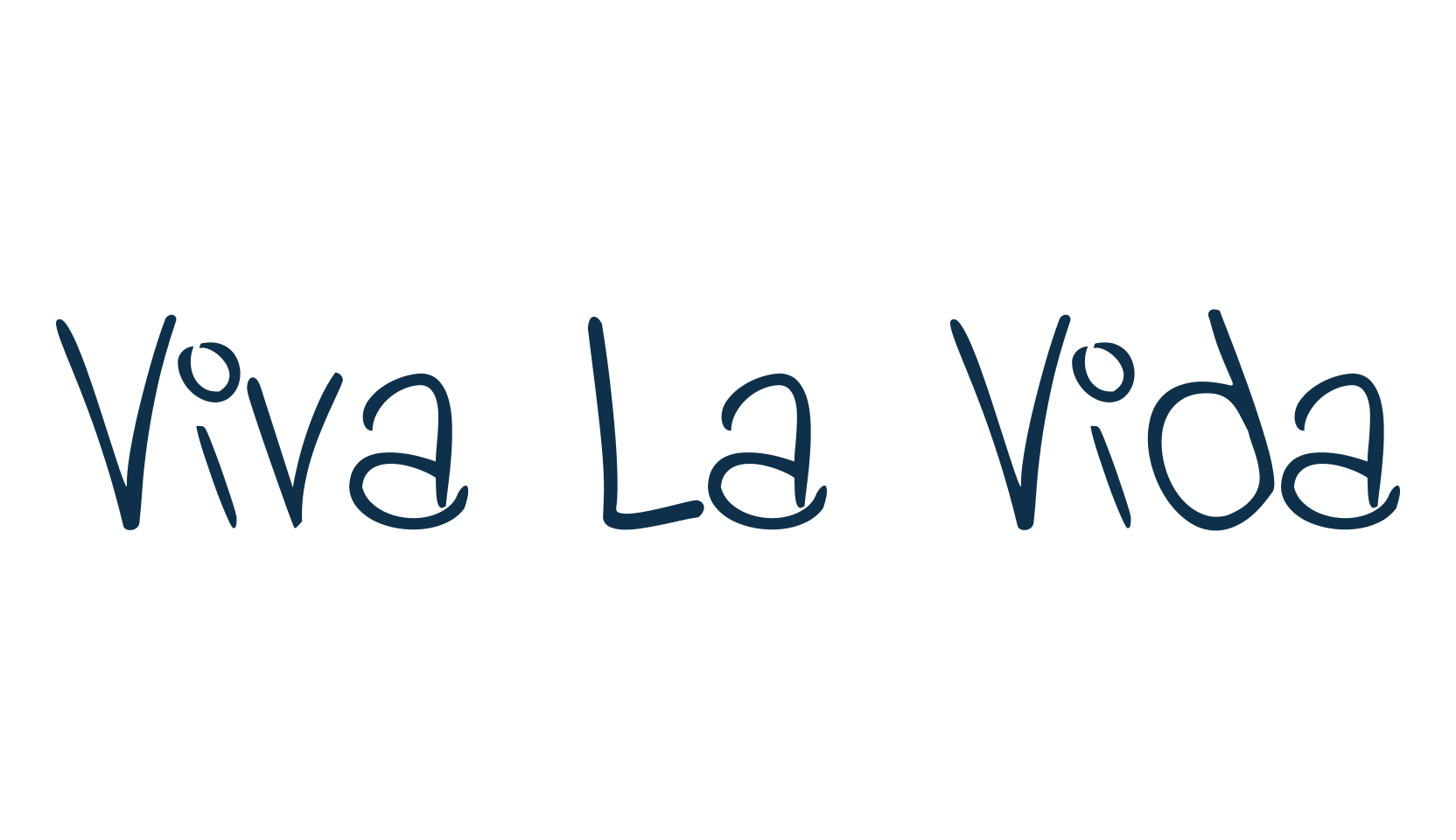 Viva La Vida, script handwritten fancy decorative calligraphy font preview