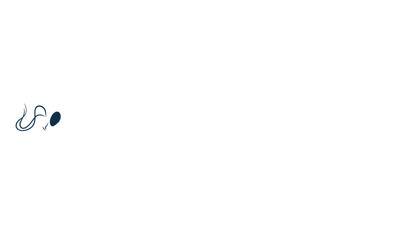 Voidyzian Glyphs, display market font preview