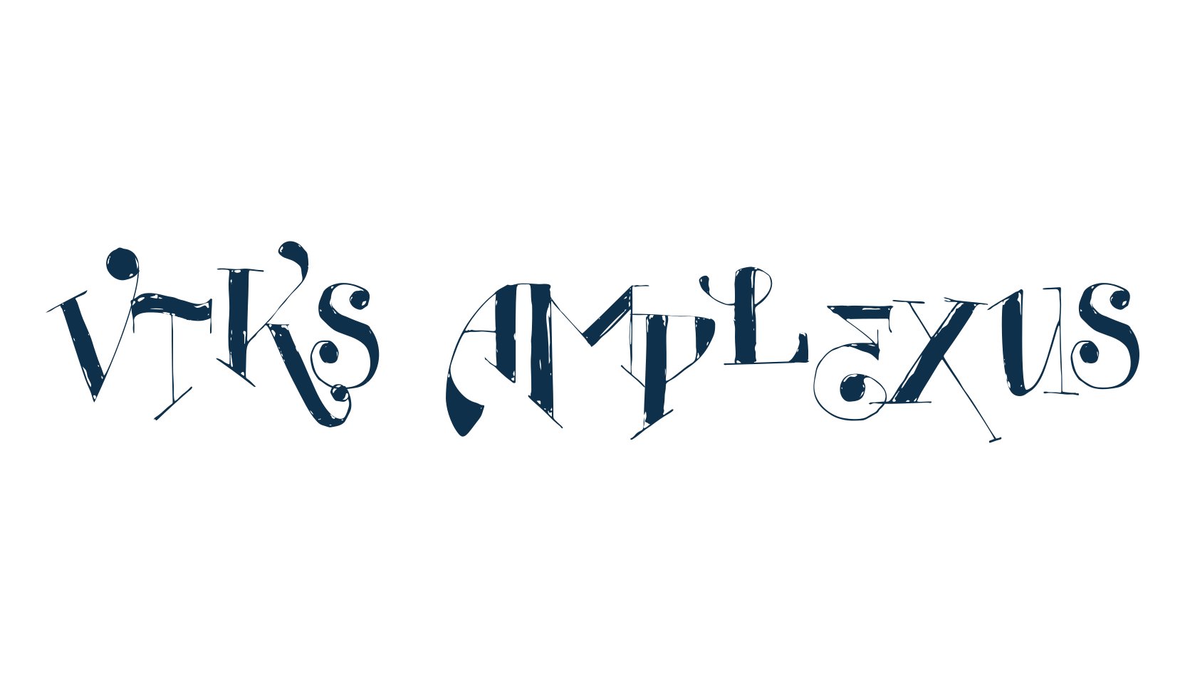 Vtks Amplexus, fancy various decorative font preview
