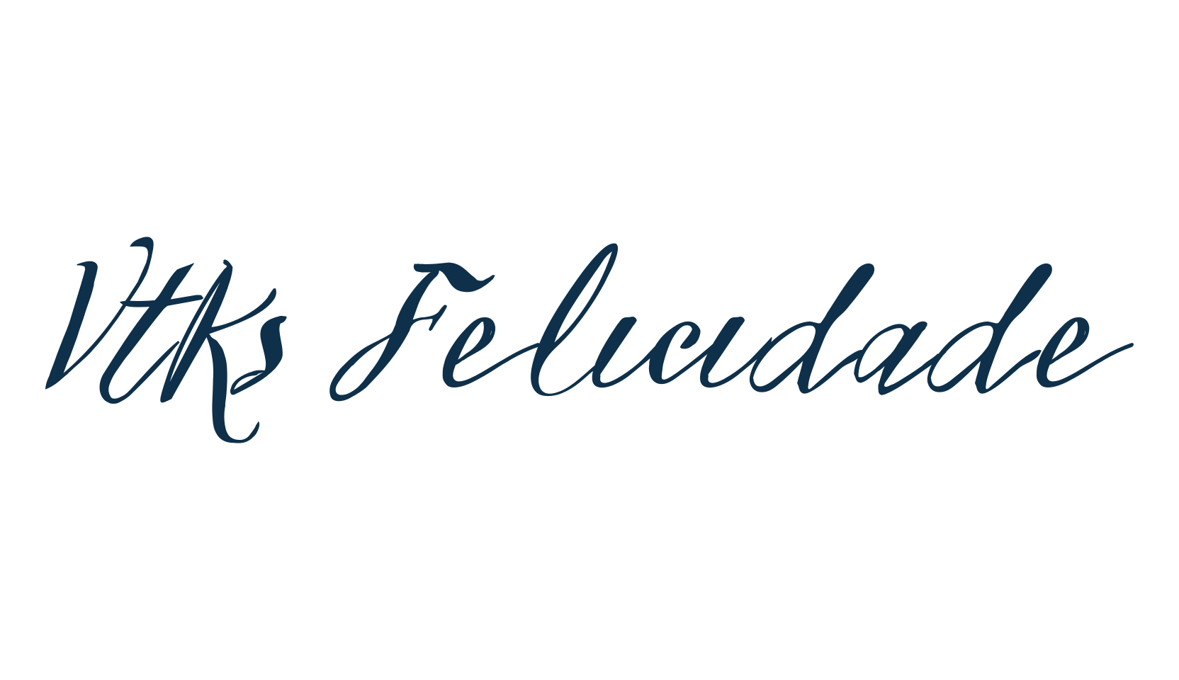 Vtks Felicidade 2016, script handwritten fancy decorative calligraphy font preview