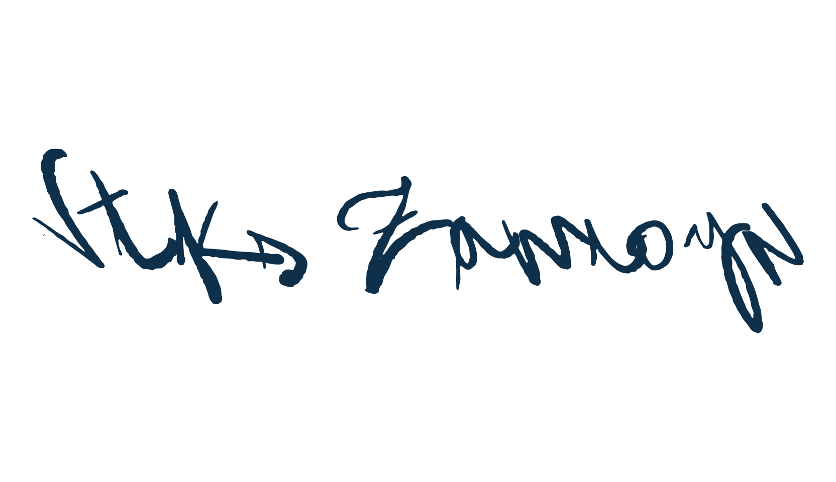 Vtks Zamioyn, script handwritten fancy decorative calligraphy font preview