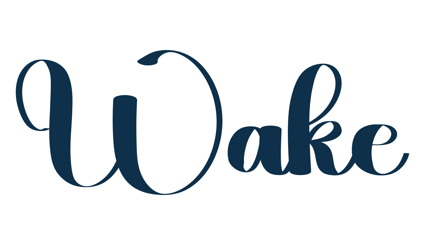 Wake, fancy various decorative script calligraphy font preview