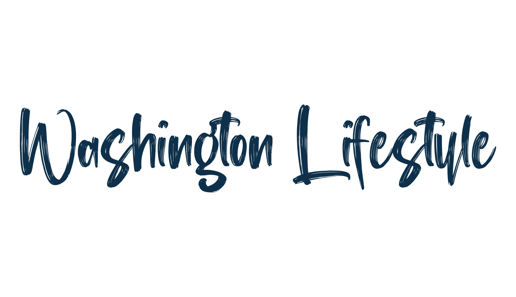 Washington Lifestyle, script brush fancy decorative calligraphy font preview