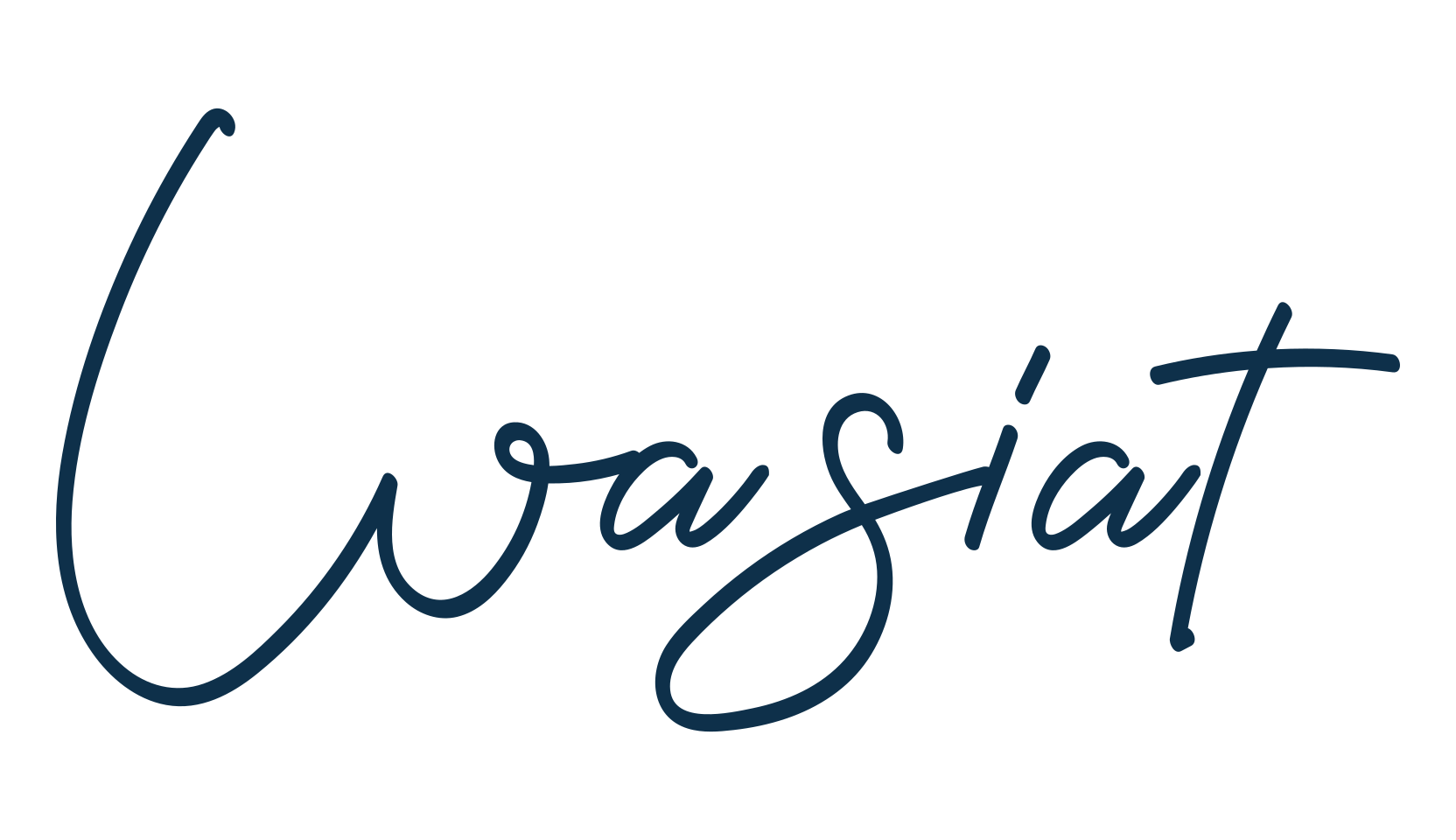 Wasiat, script handwritten fancy decorative calligraphy font preview
