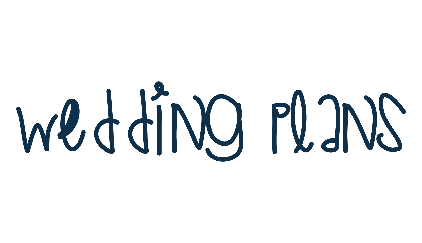 Wedding Plans, script handwritten fancy decorative calligraphy font preview