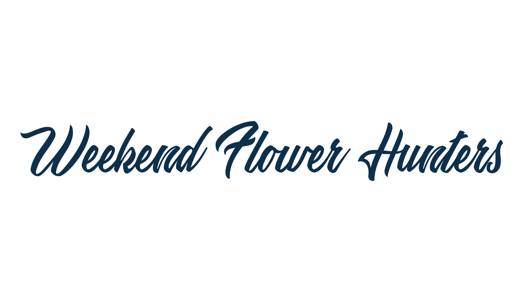 Weekend Flower Hunters, script brush fancy decorative calligraphy font preview