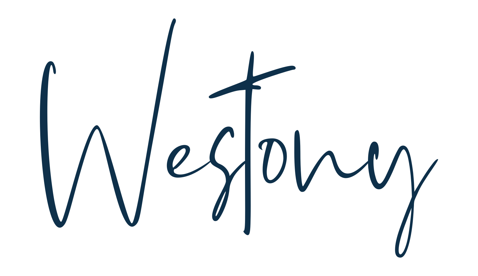 Westony, script handwritten fancy decorative calligraphy font preview