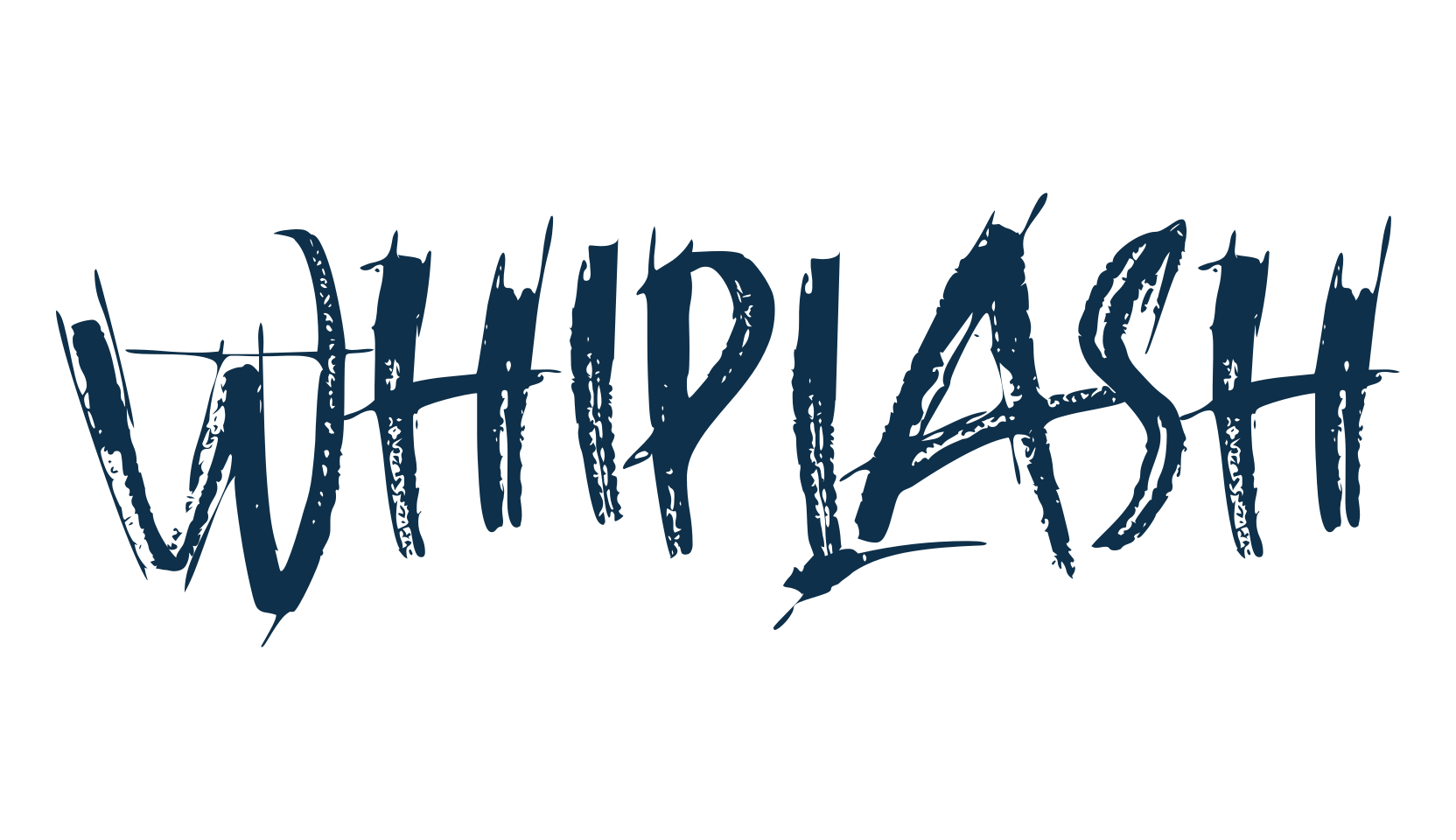 Whiplash, script brush fancy decorative calligraphy font preview
