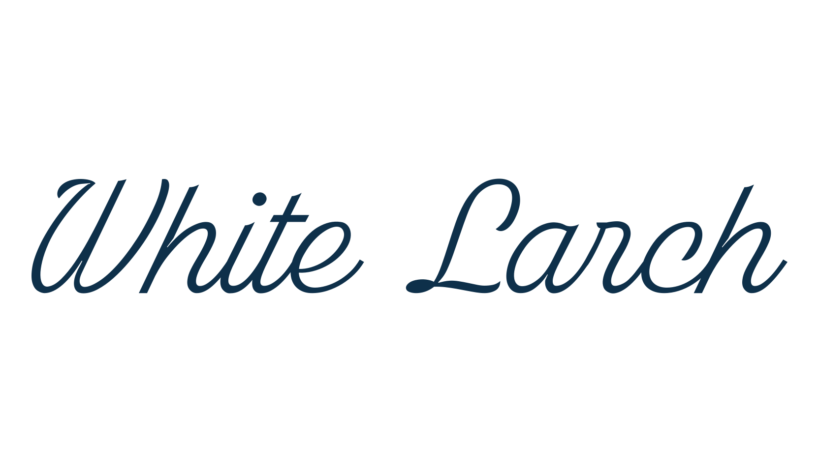 White Larch, script calligraphy fancy decorative font preview