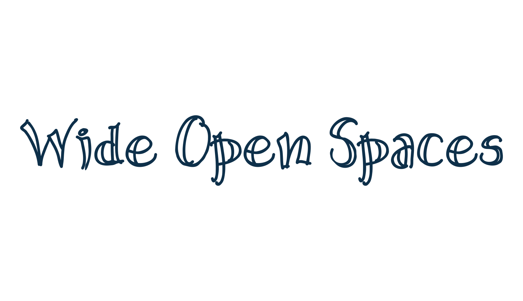 Wide Open Spaces, fancy various decorative font preview