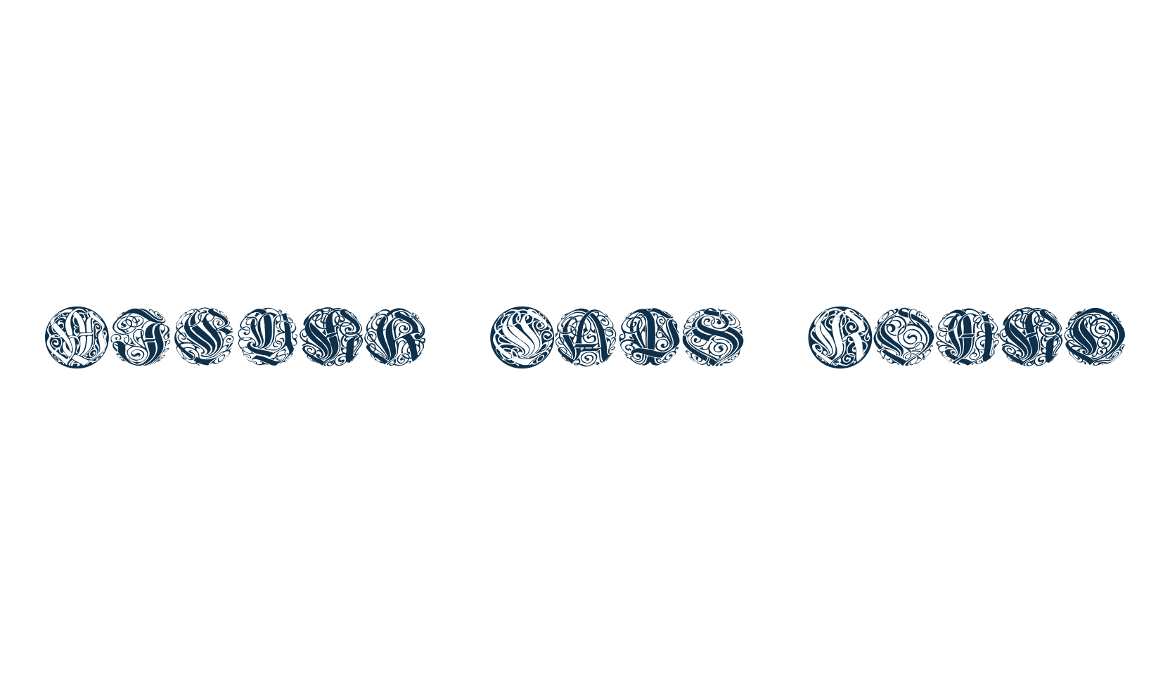 Wieynk Caps Round, fancy initials gothic font preview