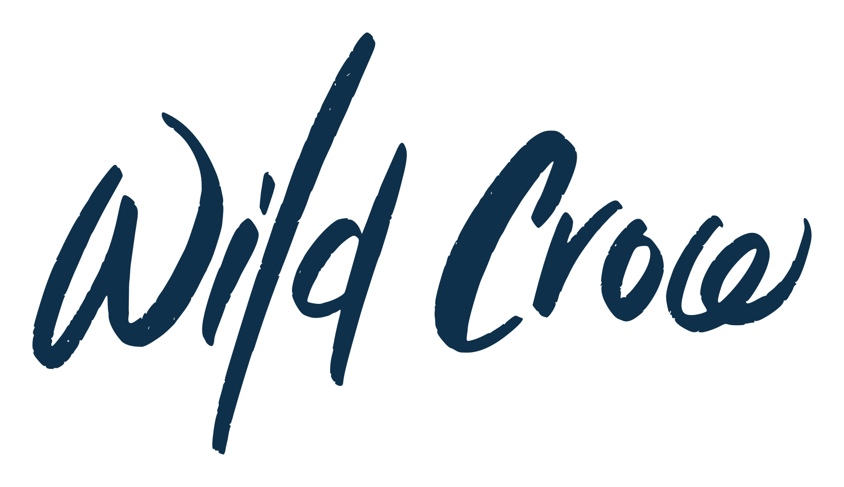 Wild Crow, script brush fancy decorative calligraphy font preview