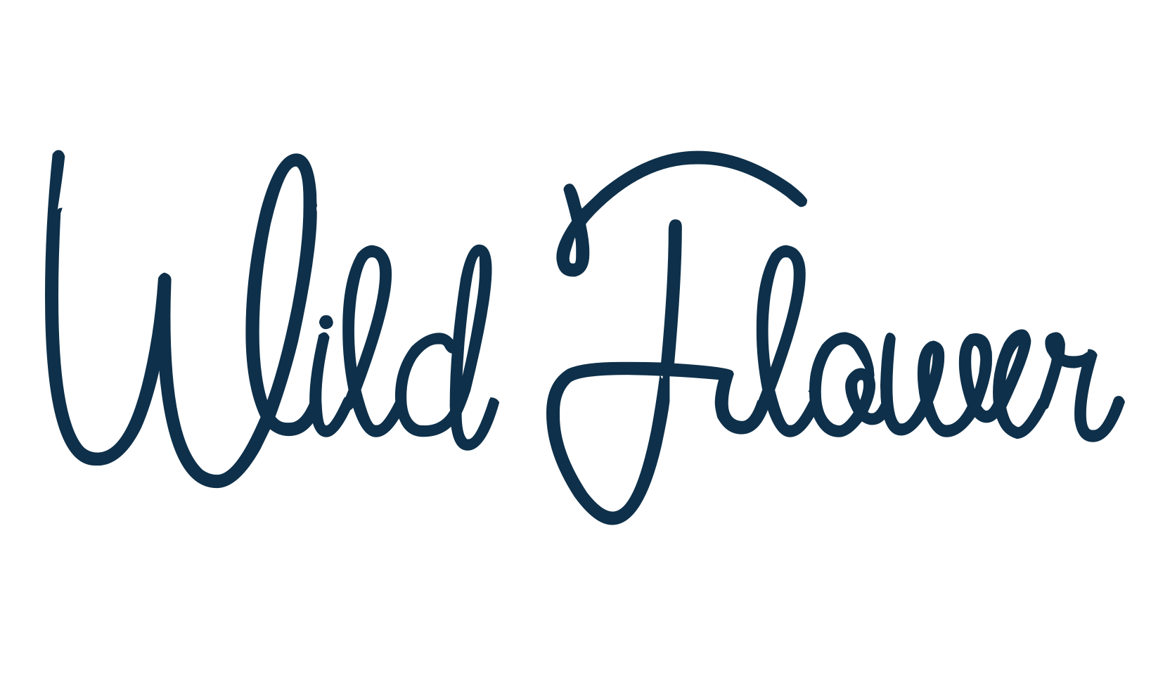Wild Flower, script handwritten fancy decorative calligraphy font preview