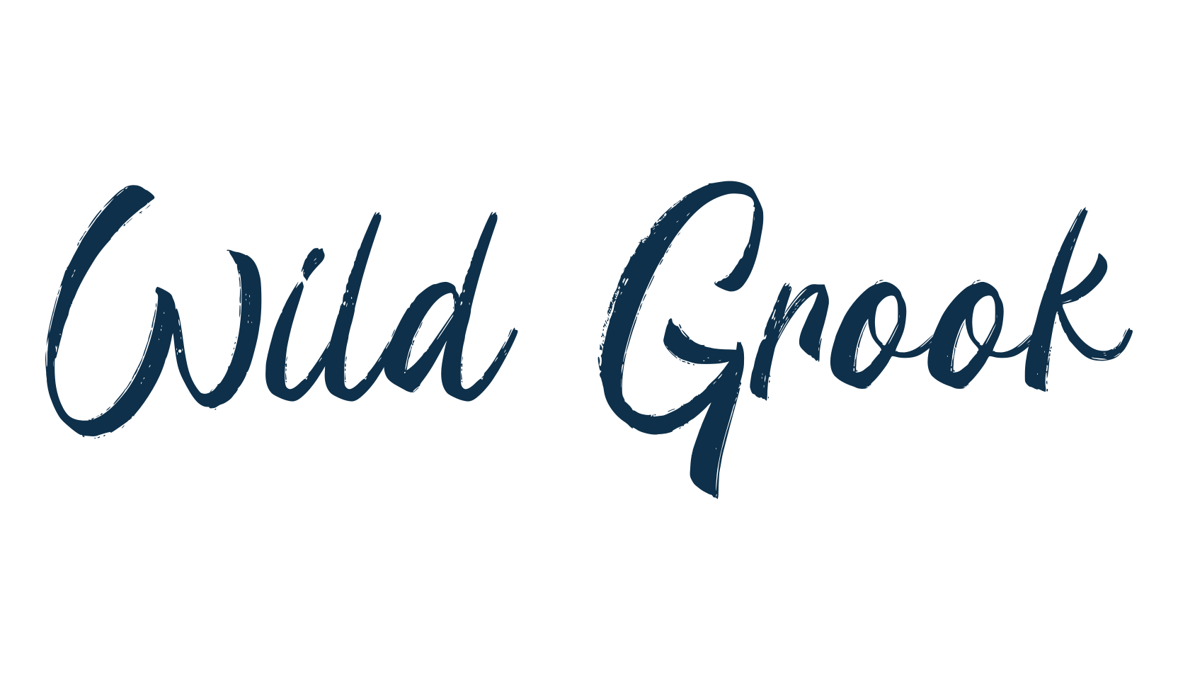 Wild Grook, script brush fancy decorative calligraphy font preview