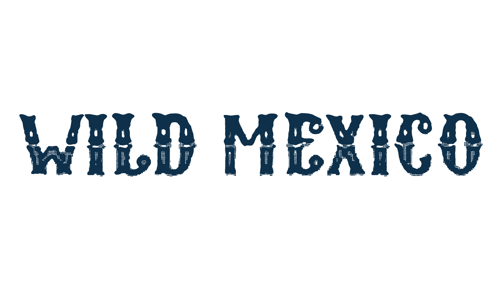 Wild Mexico, western font preview