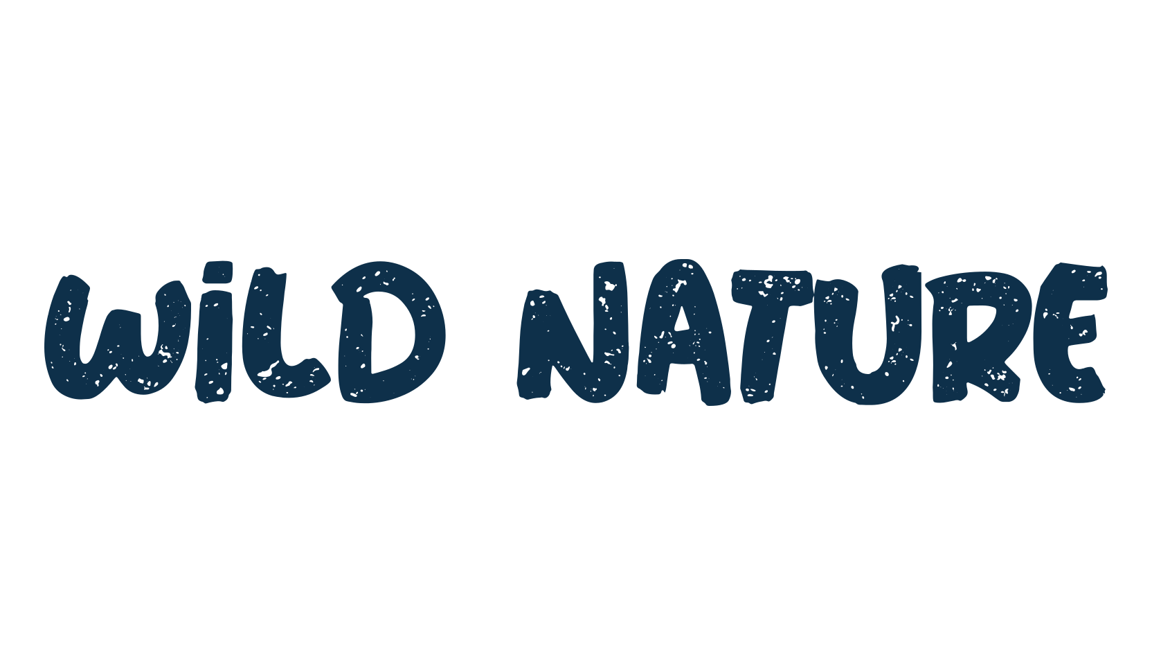 Wild Nature, fancy eroded decorative font preview
