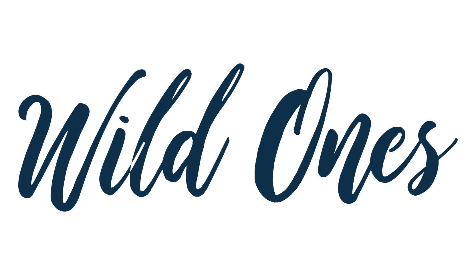 Wild Ones, handwriting font preview