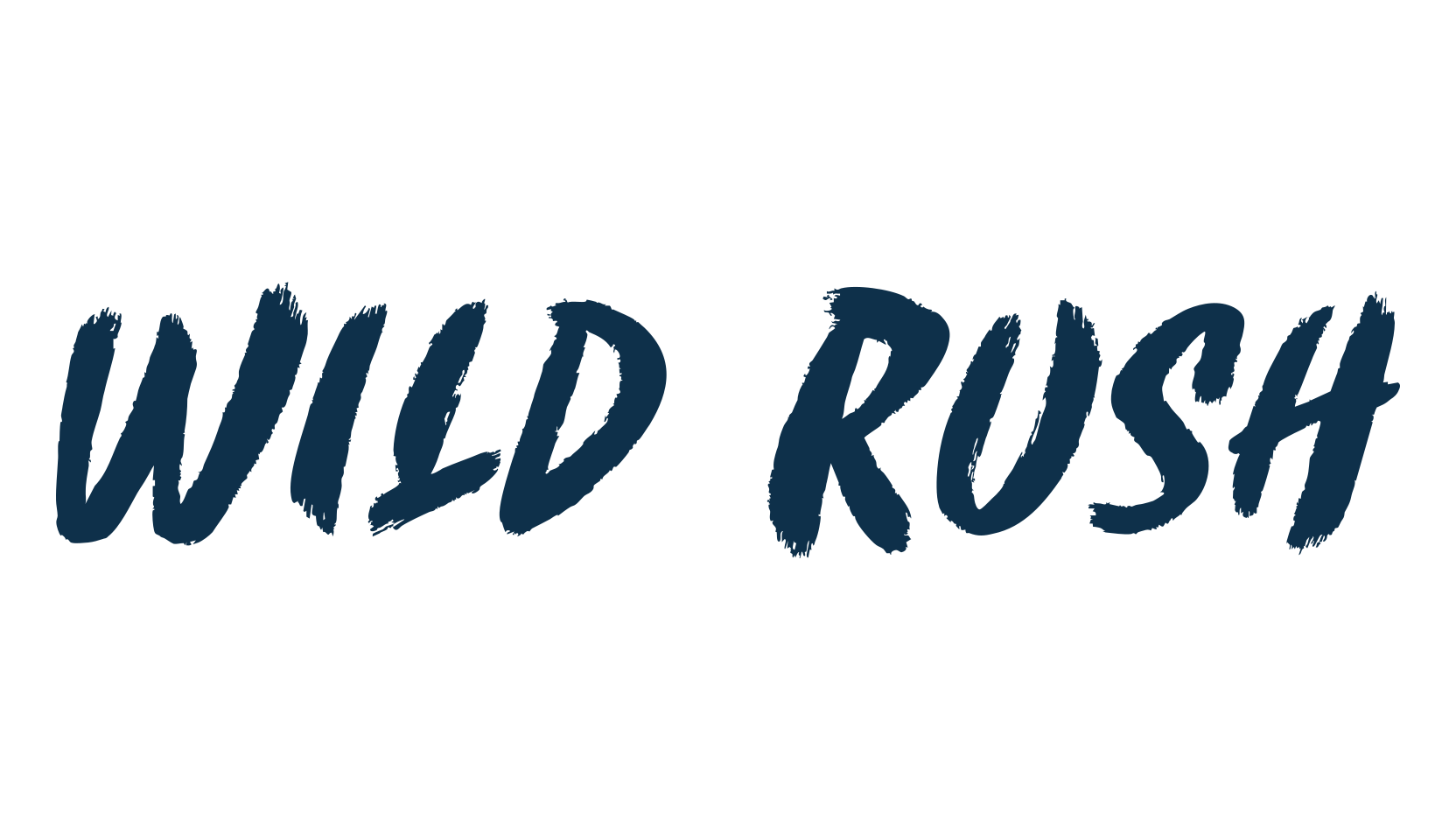 Wild Rush, script brush fancy decorative calligraphy font preview