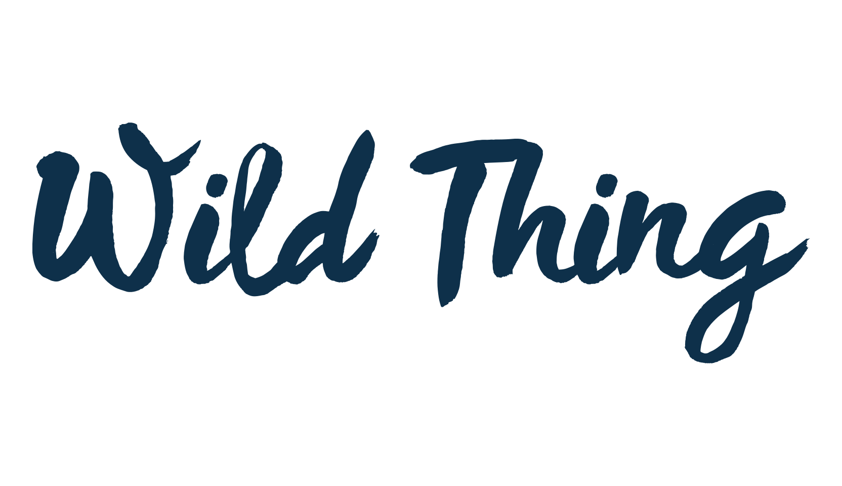 Wild Thing, script brush fancy decorative calligraphy font preview