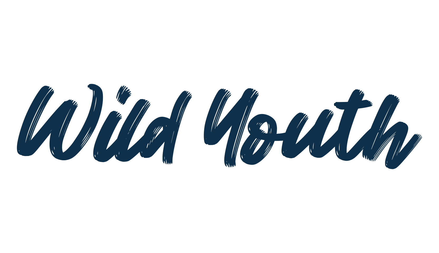 Wild Youth, script brush fancy decorative calligraphy font preview
