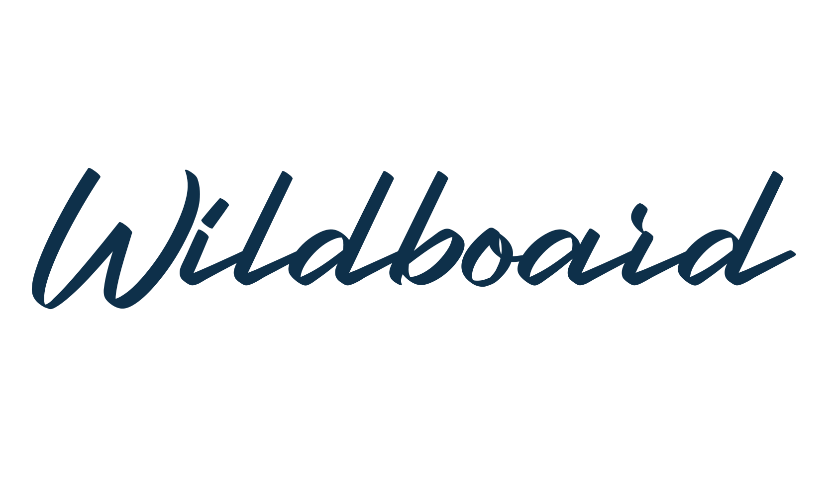 Wildboard, fancy various decorative script calligraphy font preview