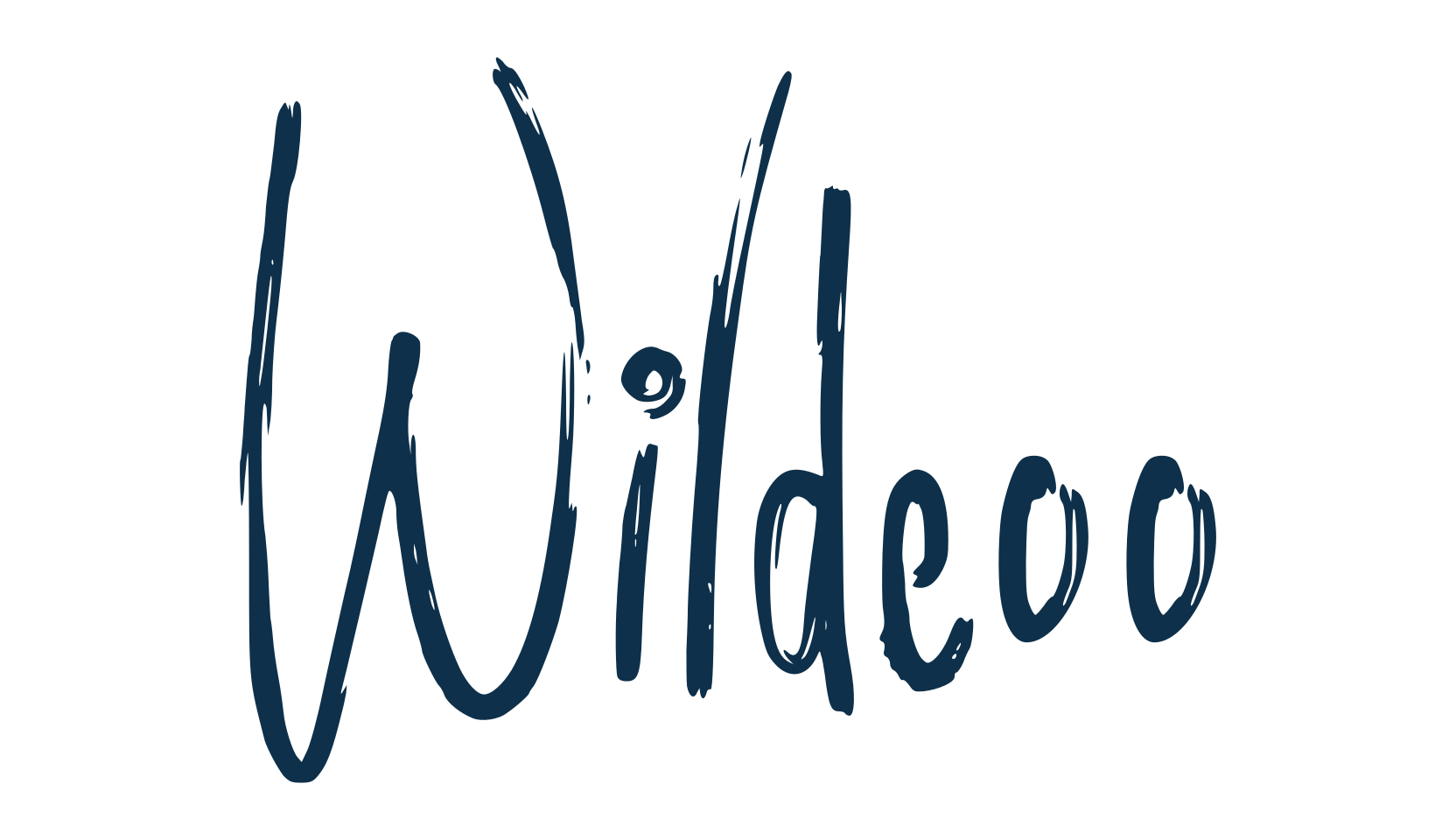 Wildeoo, script brush fancy decorative calligraphy font preview
