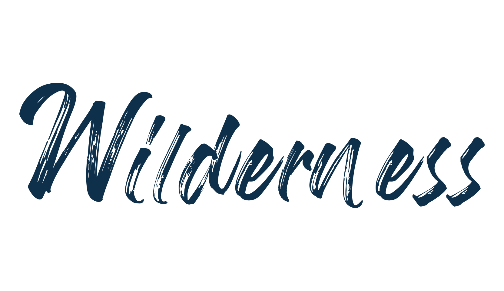 Wilderness (wilderness-2), script brush fancy decorative calligraphy font preview