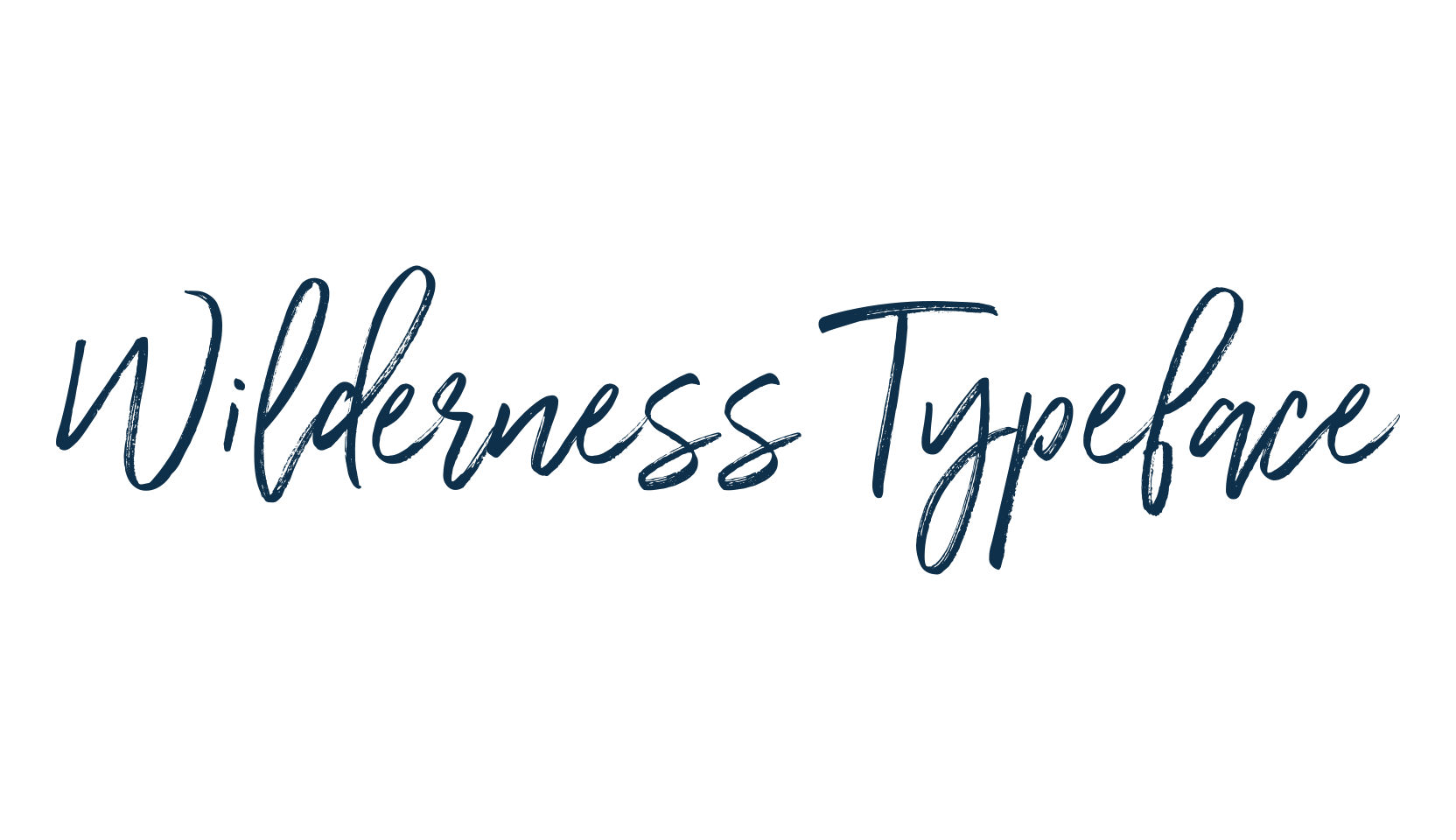 Wilderness Typeface, script handwritten fancy decorative calligraphy font preview