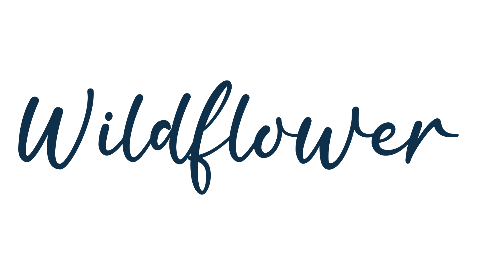 Wildflower, handwriting font preview