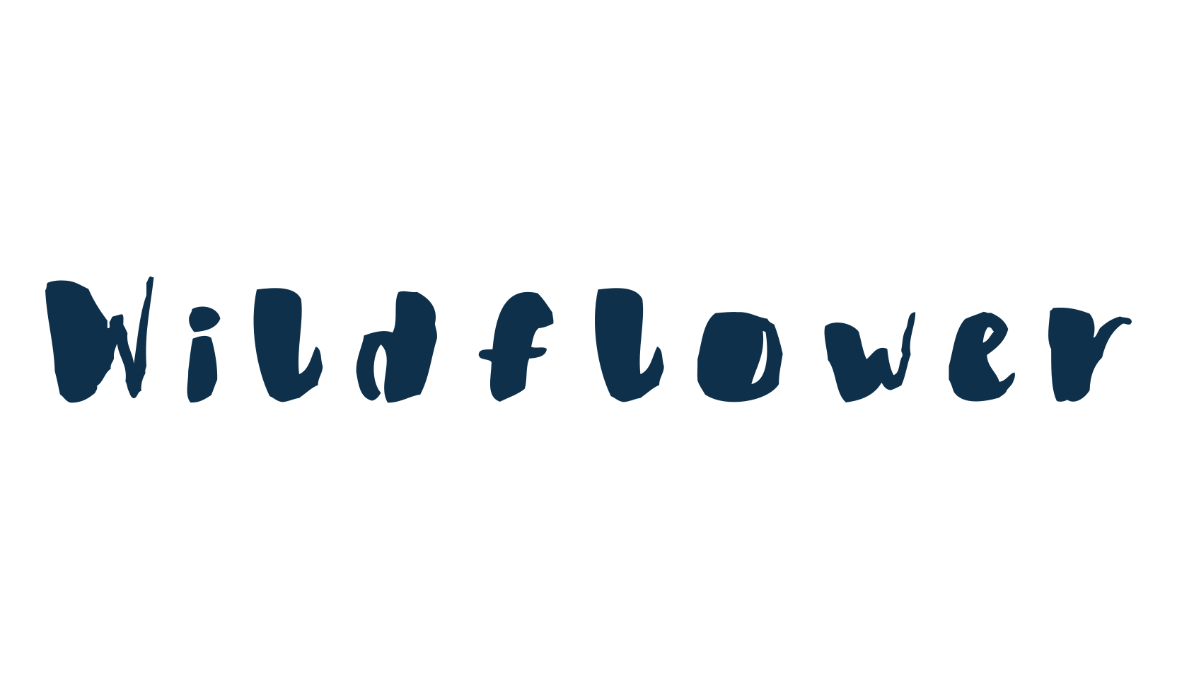 Wildflower (wildflower), script brush fancy decorative calligraphy font preview