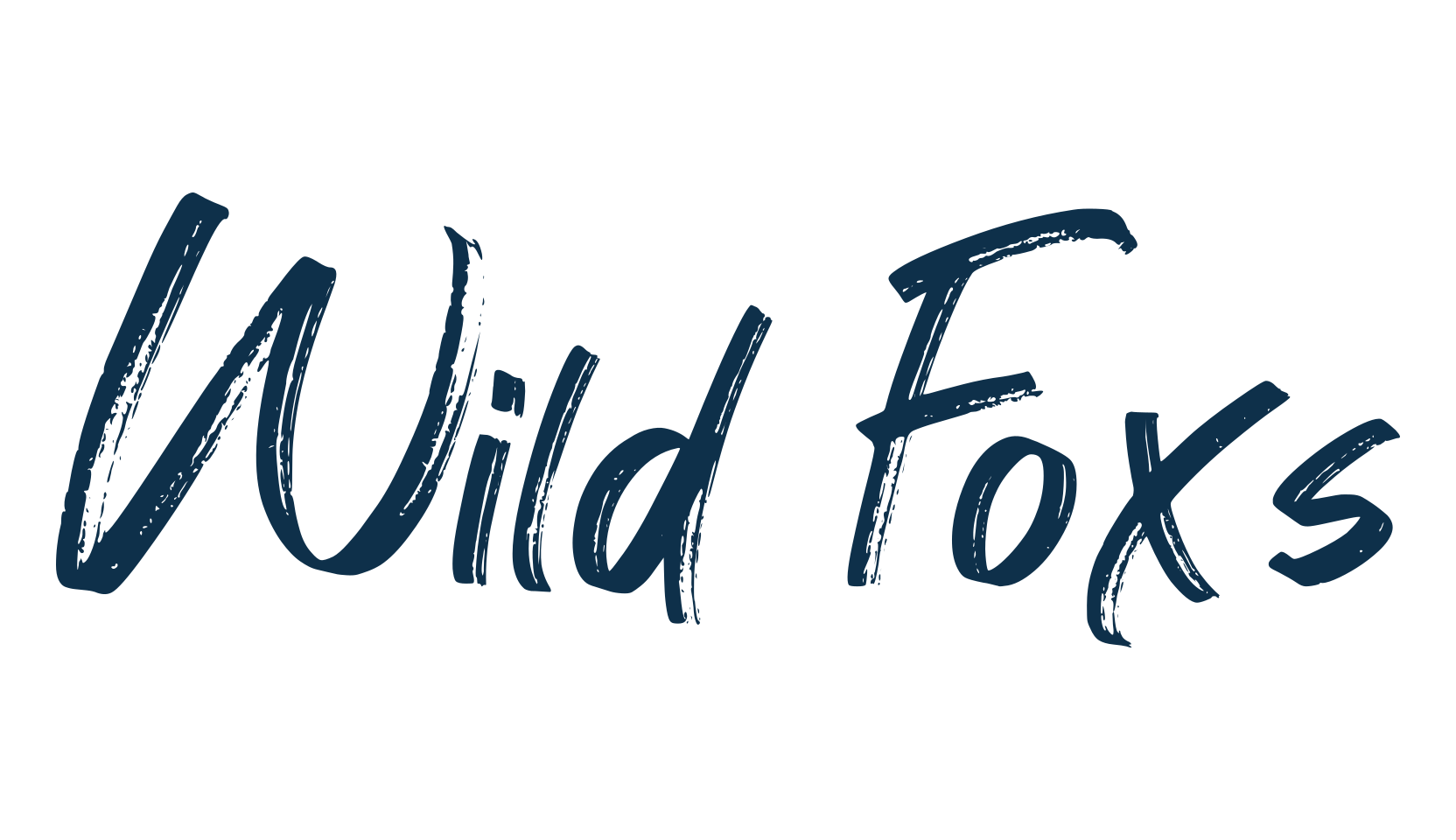 Wild Foxs, script brush fancy decorative calligraphy font preview