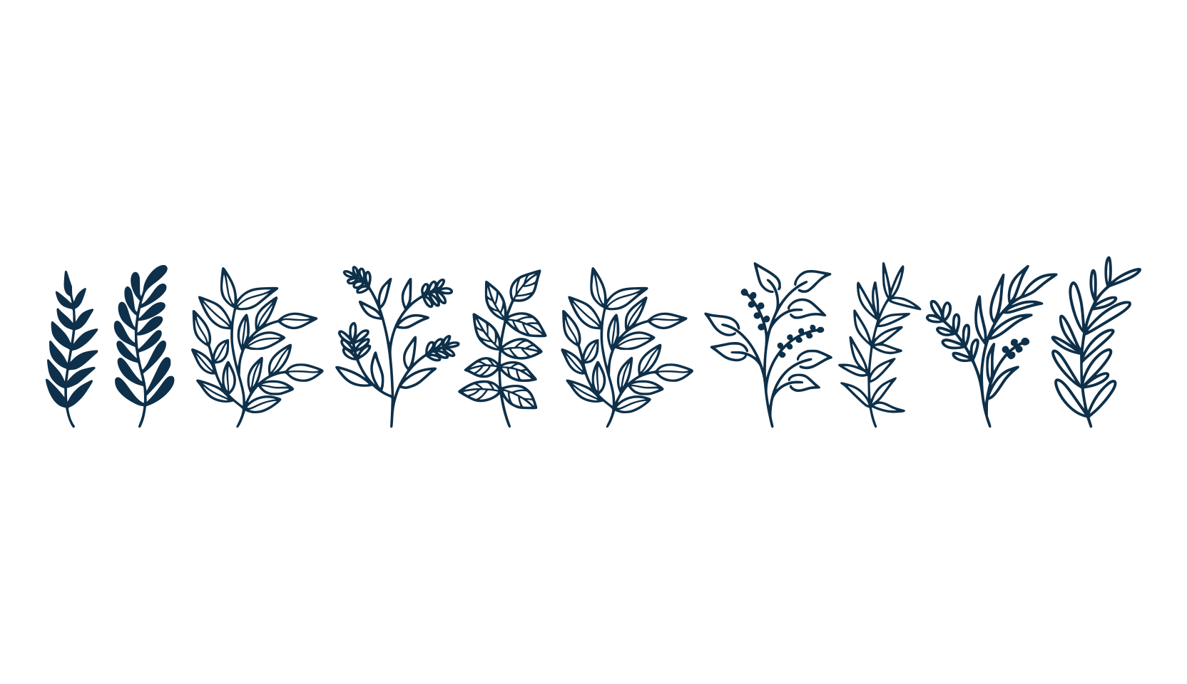 Wildplants, display market font preview