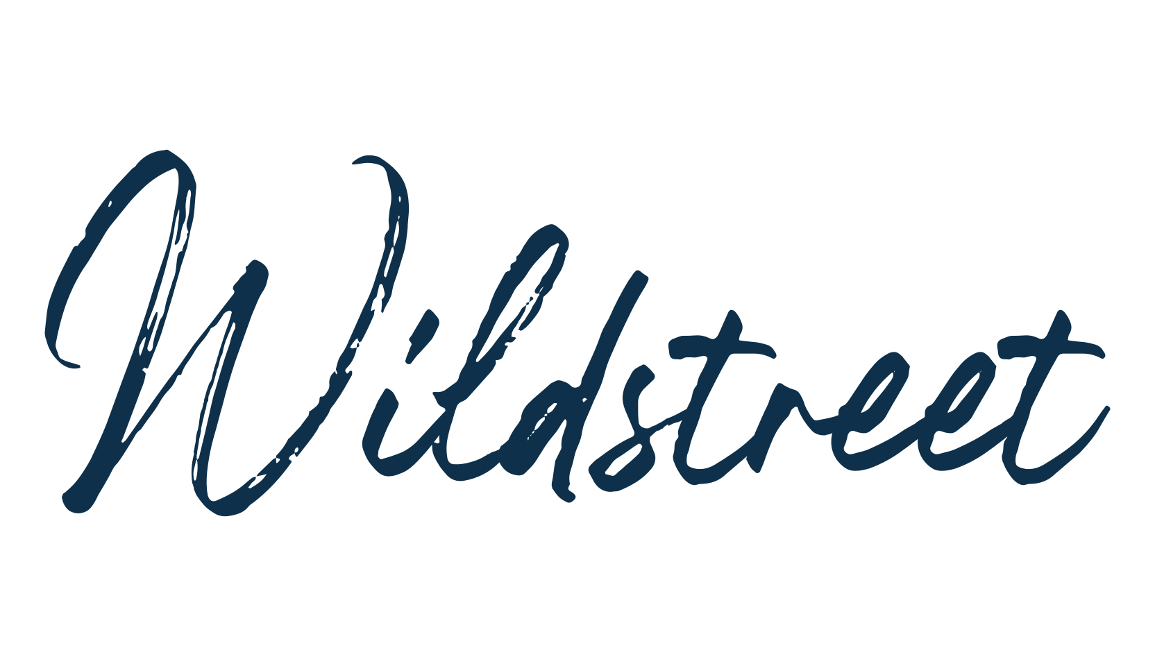 Wildstreet, script handwritten fancy decorative calligraphy font preview