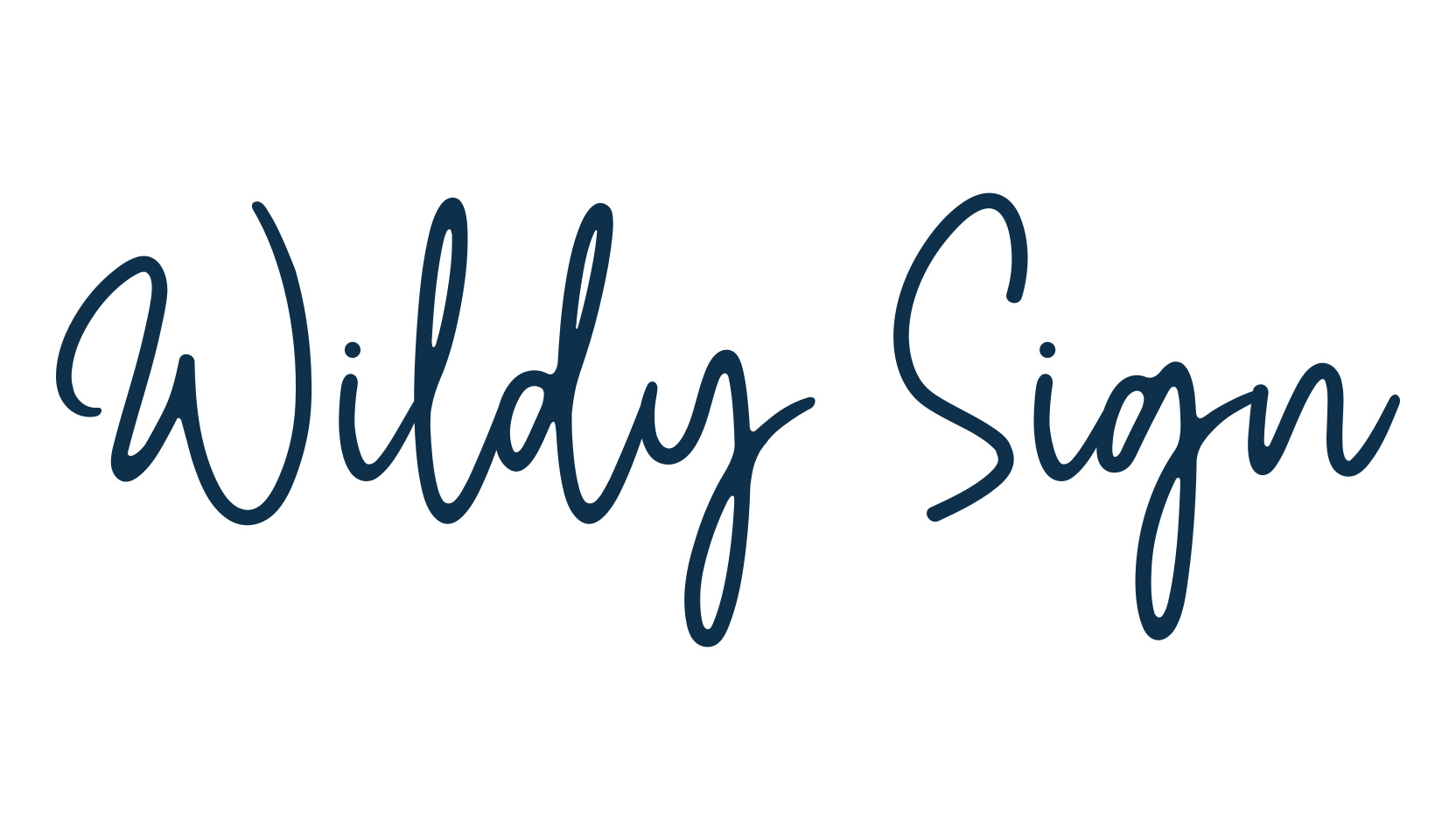 Wildy Sign, script handwritten fancy decorative calligraphy font preview