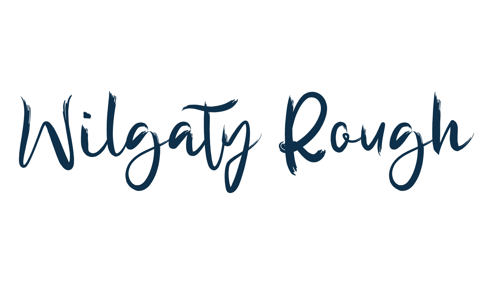 Wilgaty Rough, brush font preview