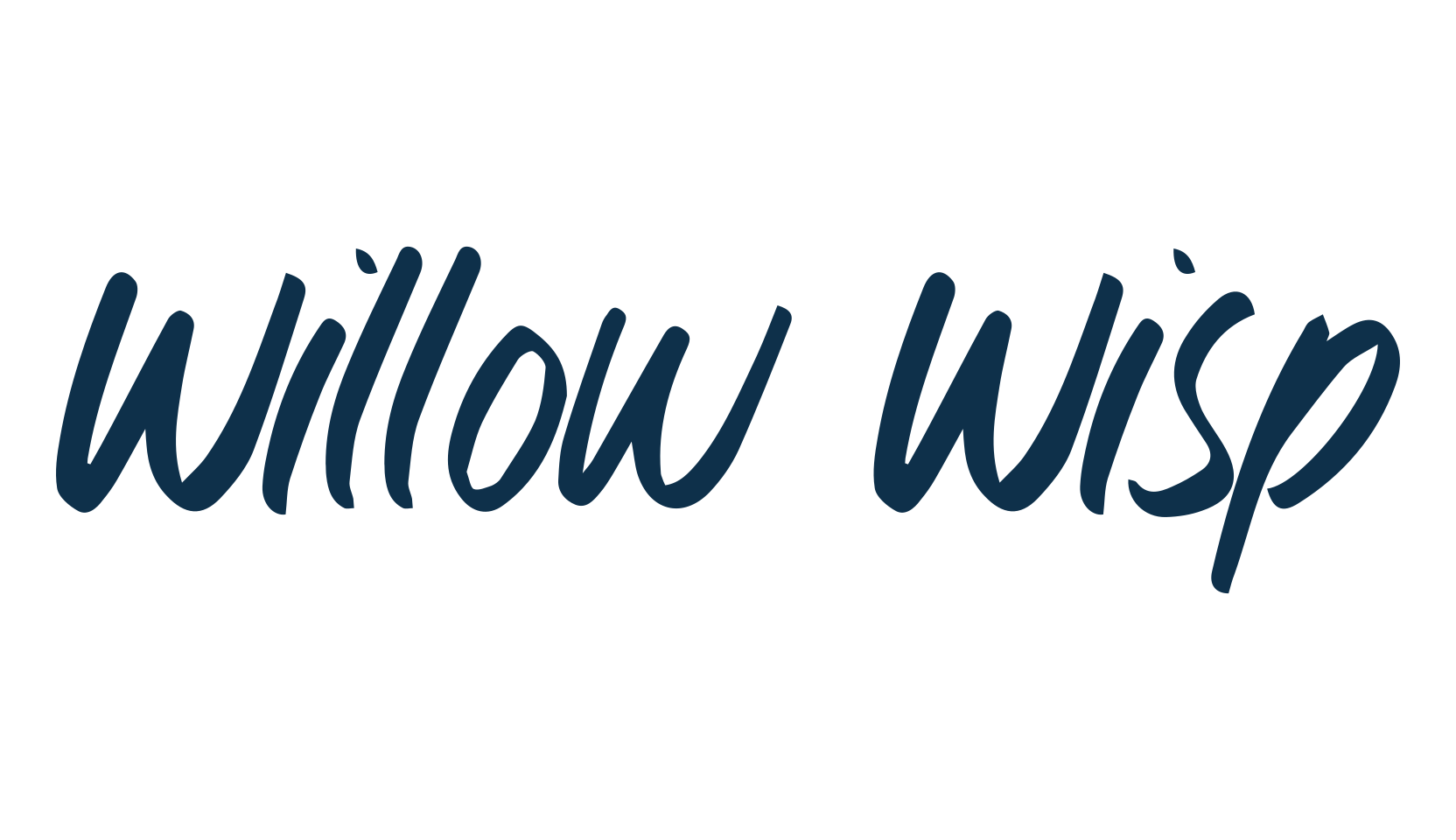 Willow Wisp, script handwritten fancy decorative calligraphy font preview