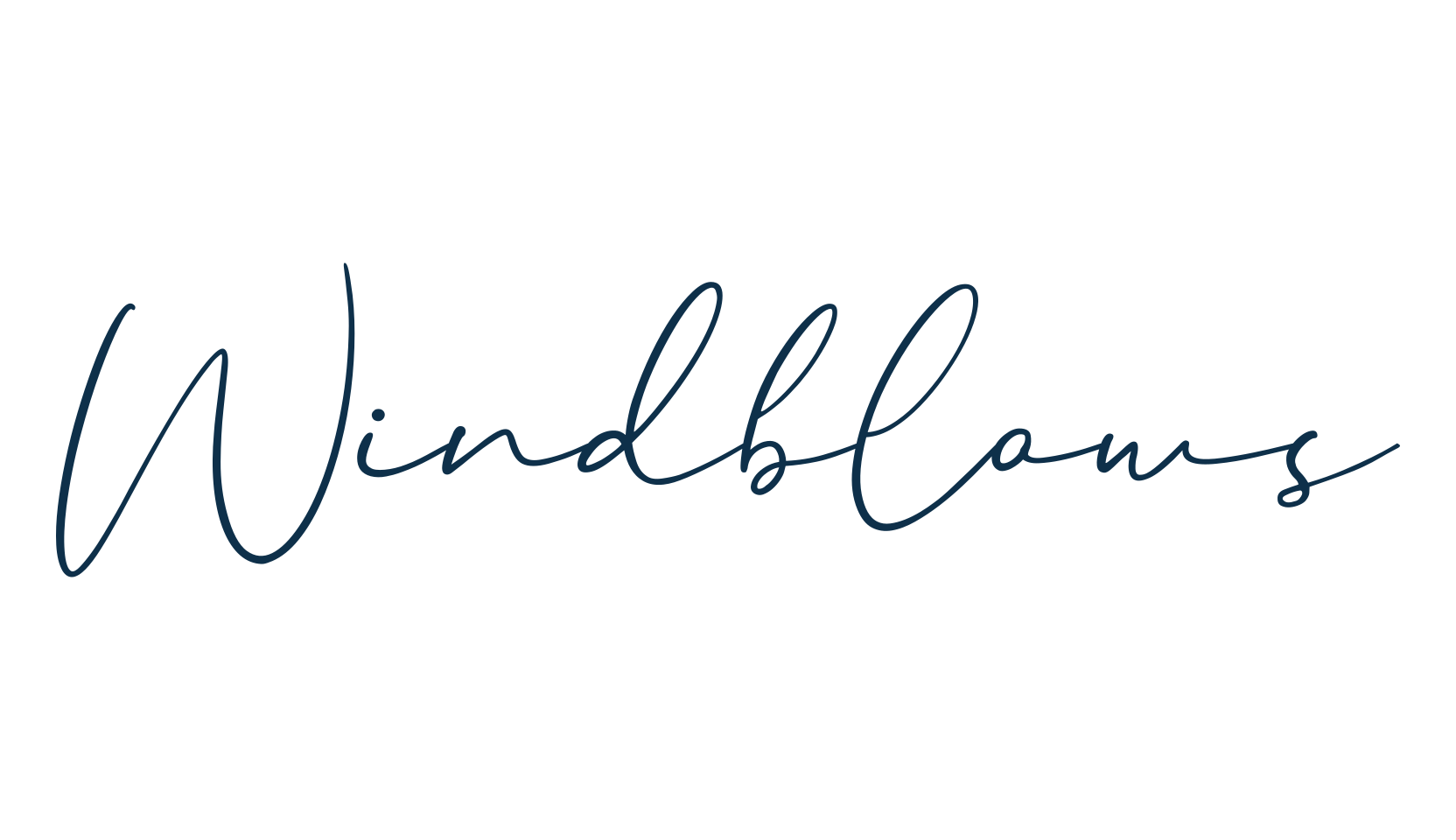 Windblows, script handwritten fancy decorative calligraphy font preview