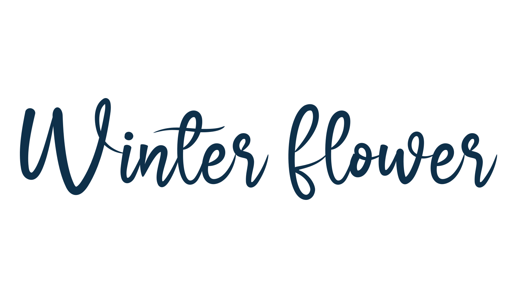 Winter Flower, fancy various decorative script calligraphy font preview