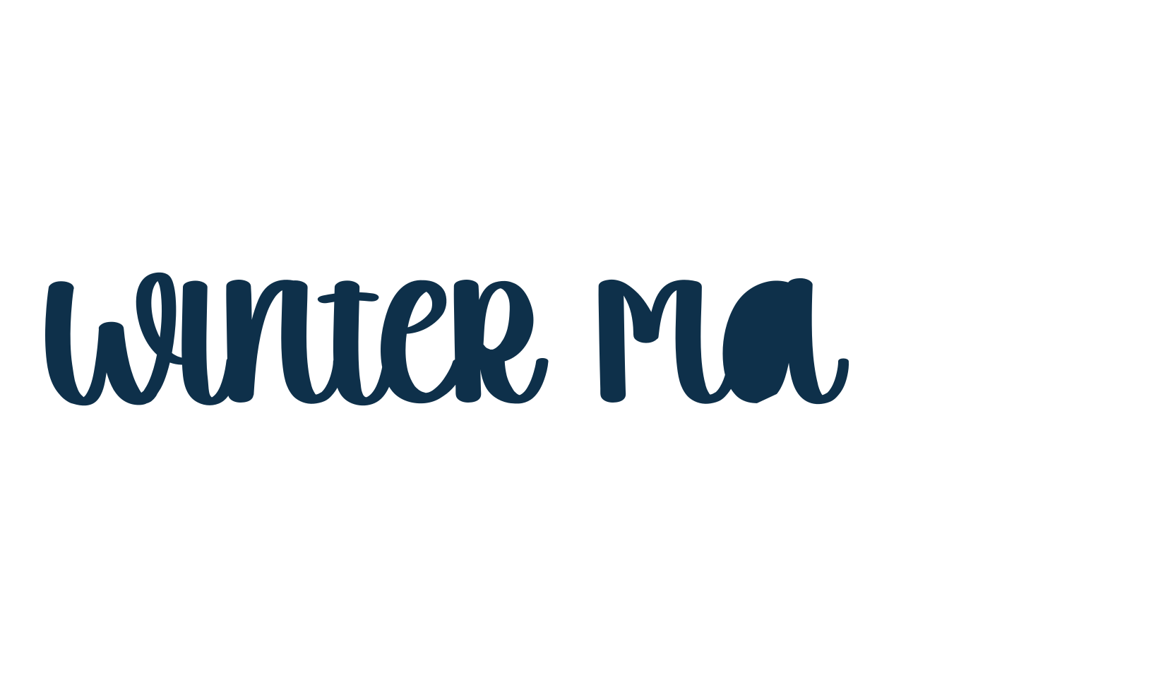 Winter Market, fancy various decorative script calligraphy font preview