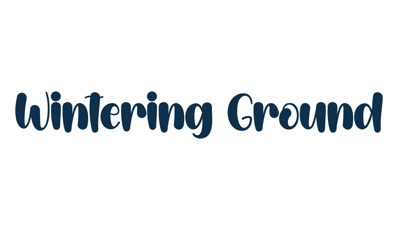 Wintering Ground, fancy various decorative script calligraphy font preview