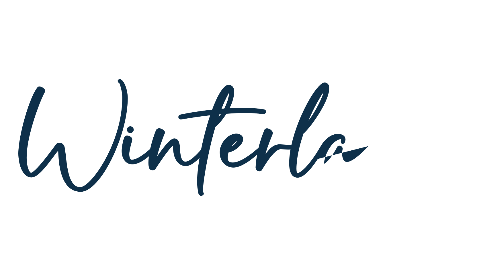 Winterlake, script handwritten fancy decorative calligraphy font preview