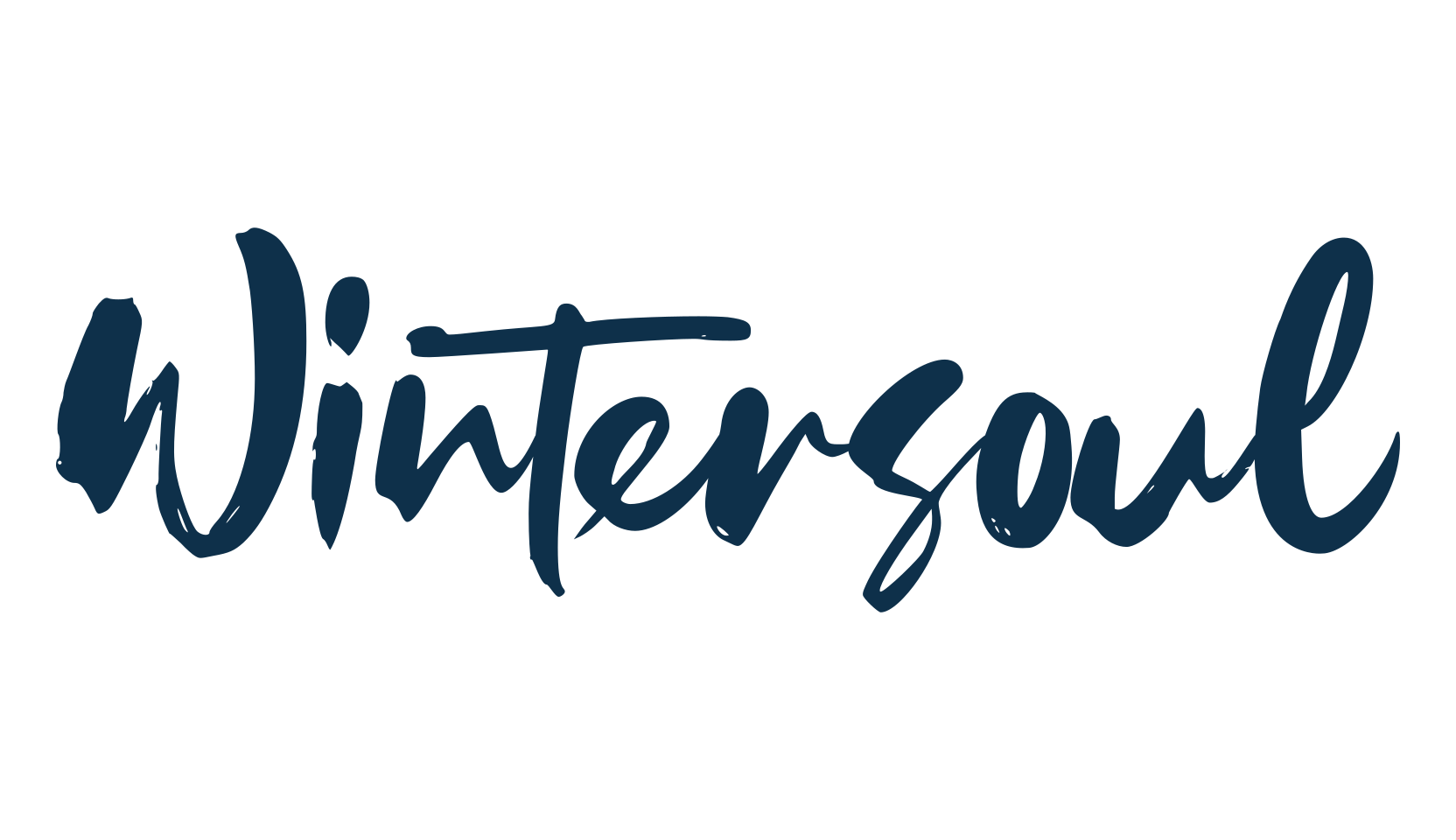 Wintersoul, script brush fancy decorative calligraphy font preview