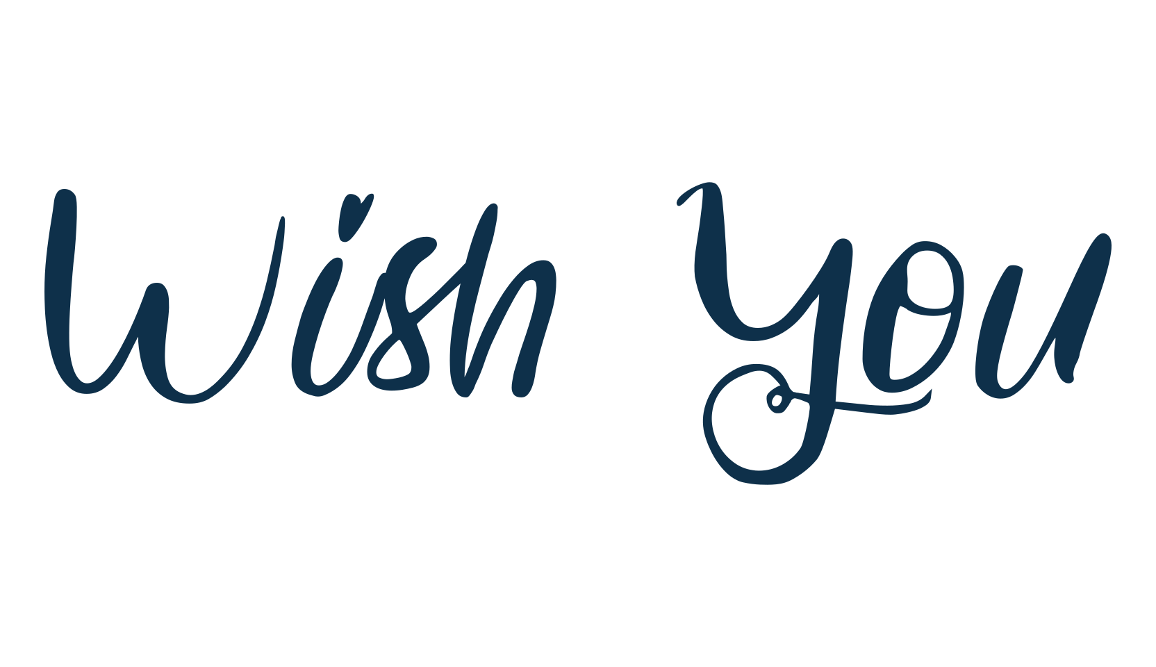 Wish You, script calligraphy fancy decorative font preview
