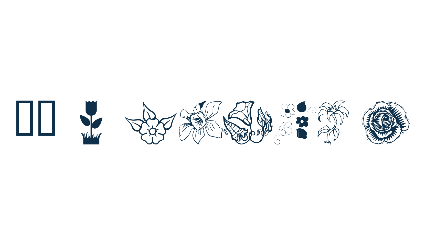 WM Flowers, fancy decorative font preview