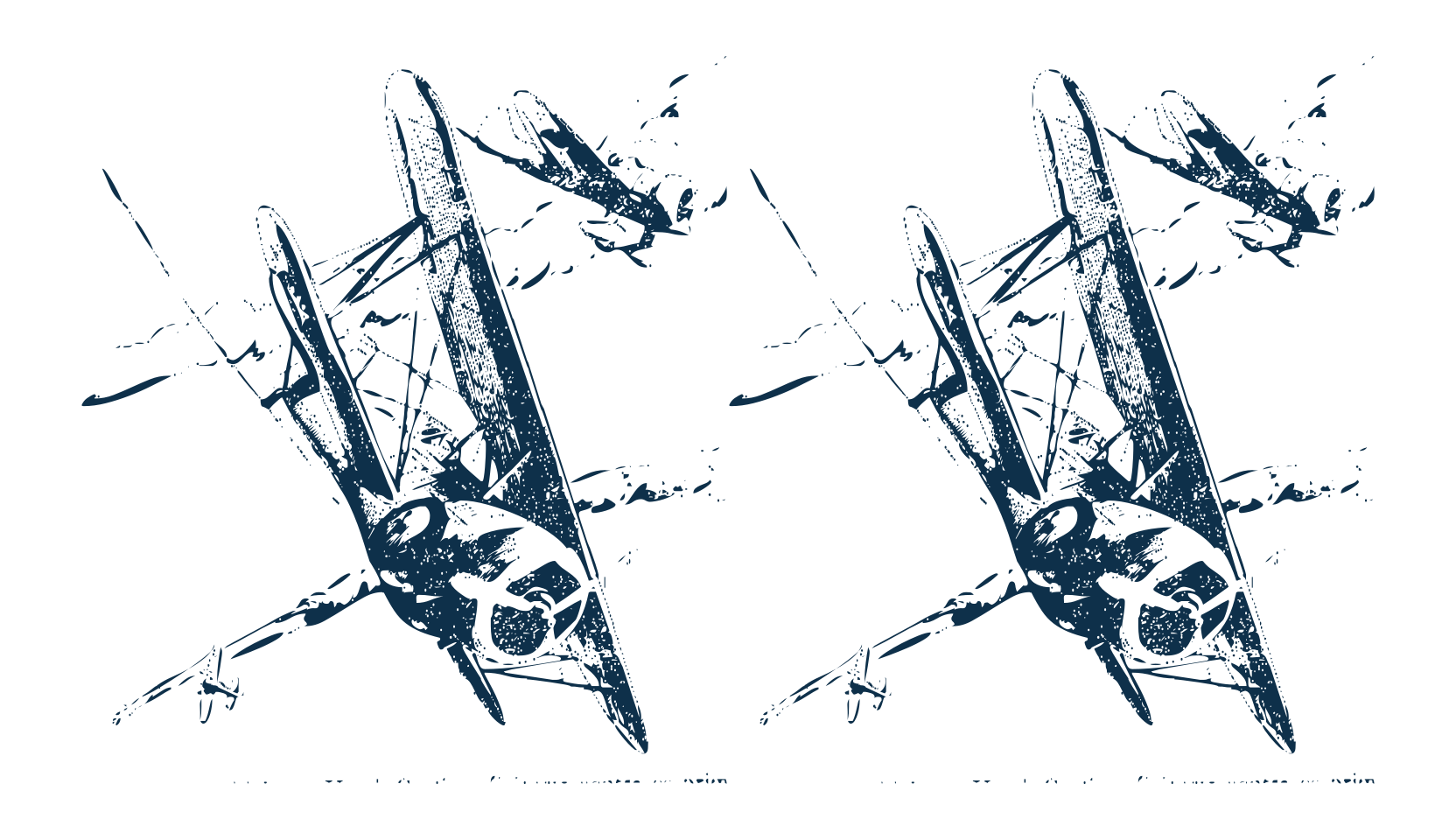 World War II Warplanes 2, fancy decorative font preview