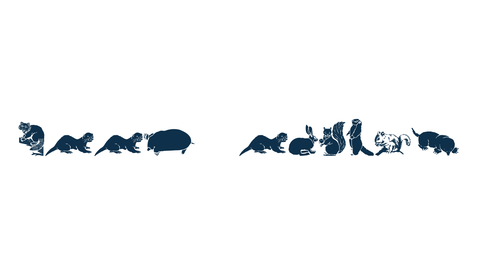 WW Furry Friends, fancy decorative font preview