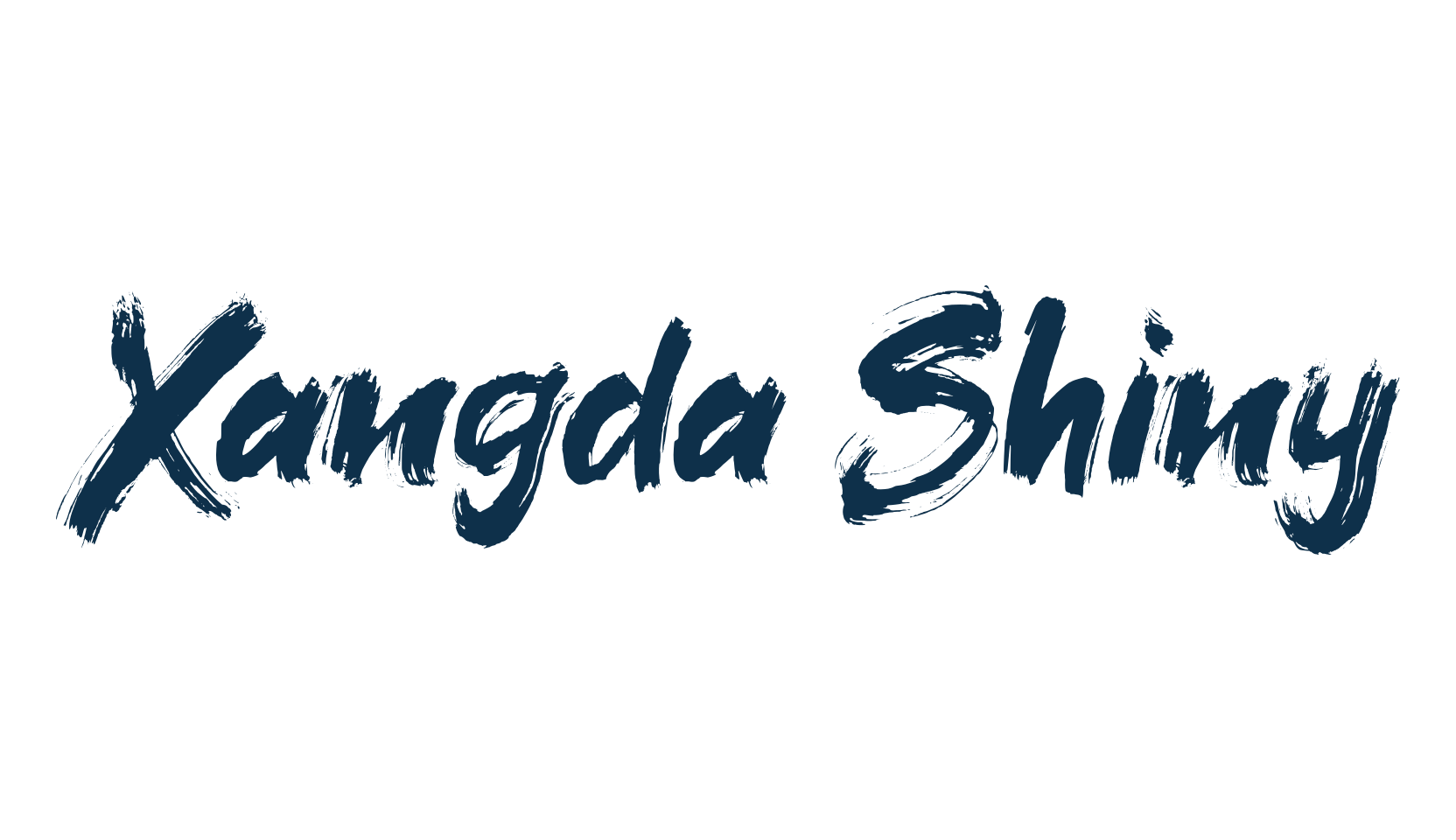 Xangda Shiny, script brush fancy decorative calligraphy font preview