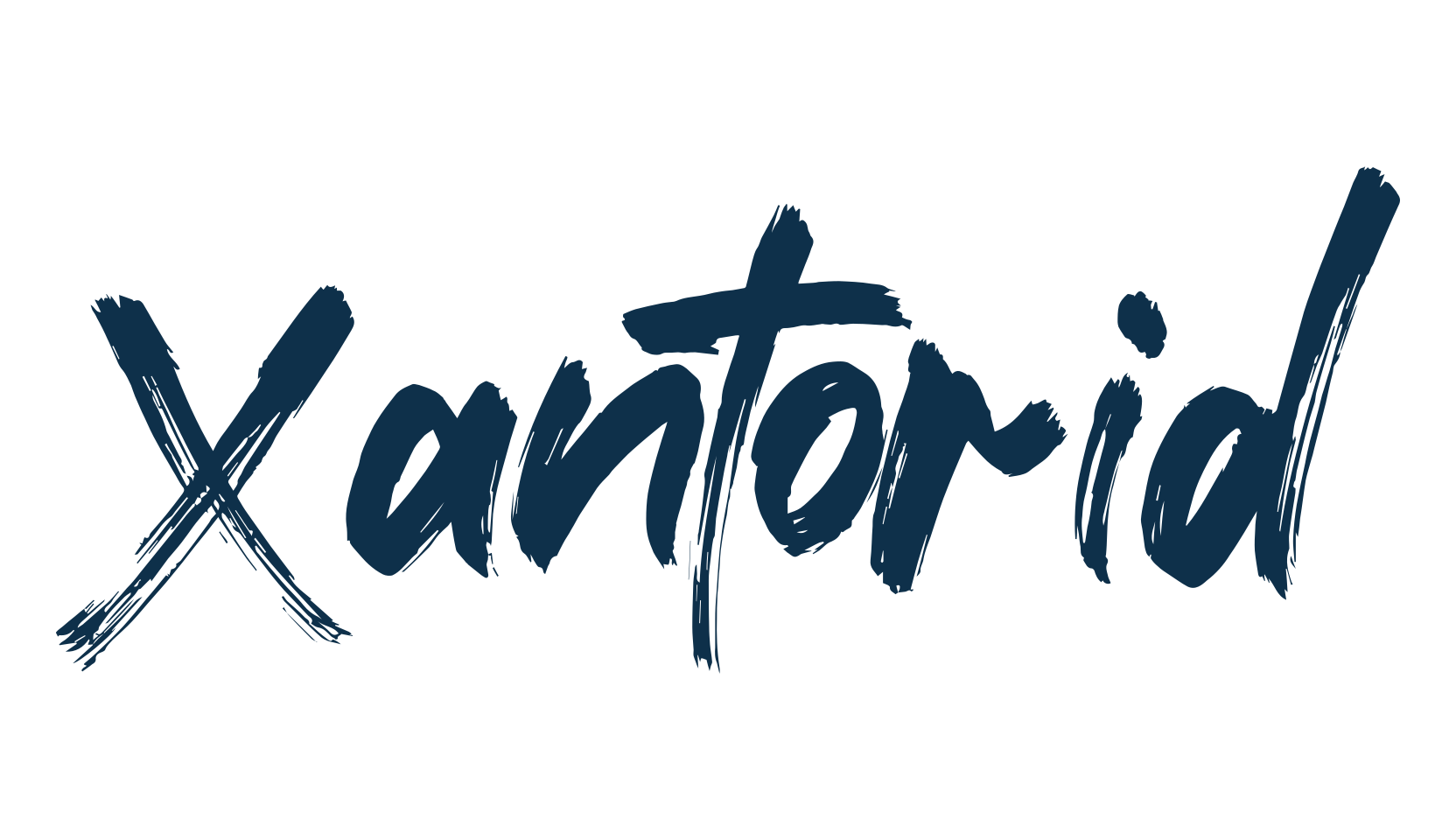 Xantorid, script brush fancy decorative calligraphy font preview