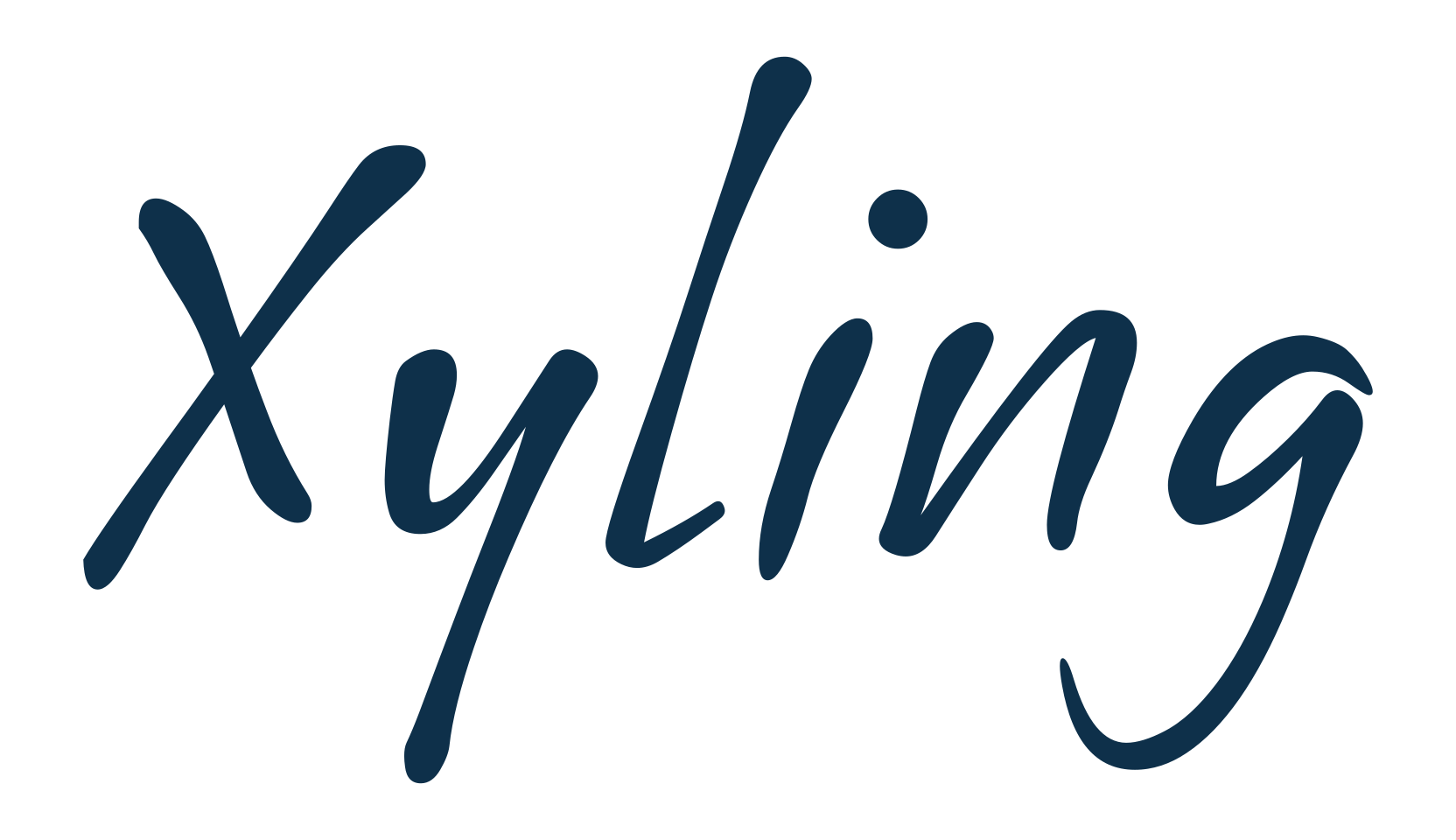 Xyling, script brush fancy decorative calligraphy font preview